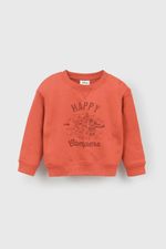 a817847e-d831-42ad-b241-2bde992ef456-plpo3939i25-1