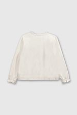 c1bcd9f5-2714-46e7-9e66-e0cc3372e520-p1je3066i24-2