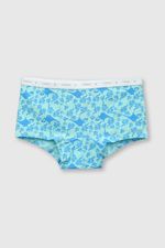 db606694-770a-4ee4-8758-198831d73f05-czsx2234v24-4