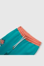 73913d34-88a3-47b5-8d39-a01e61e40ec5-ptpo0134v24-3