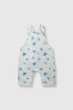 ca9faded-487e-4881-bbfb-44be89a14e8d-jlpo0311v24-1