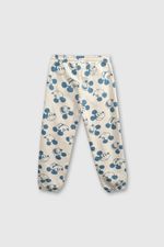 43517c08-b919-4e0b-98e9-39c729339535-ptpo1366i24-2