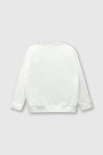 44c56f37-52b9-4925-8d10-3c40508d7b52-plpou110v24-2