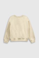 2dc096fb-6358-4ec8-925d-c55ac83dcc7c-plpo5376v25-2