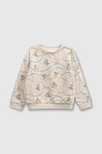 e6e73c1c-fa61-41e8-8339-72fa52e4b245-plpo0366i24-1