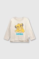 91c6d372-da19-4db1-bd94-3eadf7cf933f-p1je3166i24-1