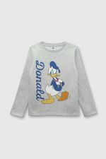 c21762d6-9929-473f-8c51-129ce931fc8d-pjpo1911i24-2