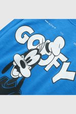 8b4e907a-c119-45eb-9171-48a7240ccb16-plpo0950v24-3