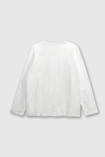 b94cb3a9-10ba-4a5d-b6f1-97d50989cf64-poje1510i24-2