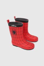 197e3c44-b186-497f-b727-a5ed90f3cf22-55850882i24-1