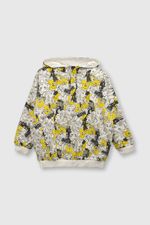 fd2a2cc6-3839-41be-bd15-6506997d6f1c-plpo0820v24-1