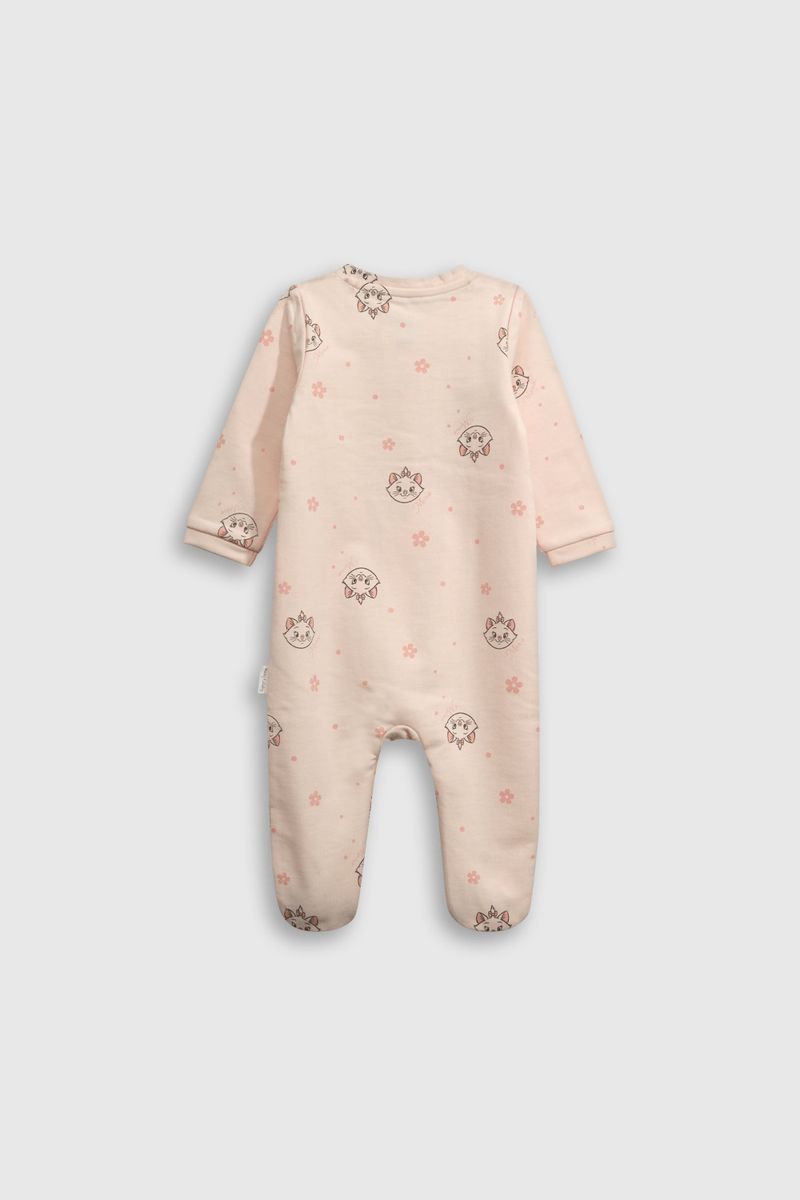 e9872a81-d45d-40ea-89ca-32a64ffbdfce-olpo0843v25-2