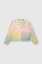 6bc91c1f-1fe3-4876-950e-e3fd7c68b26e-chla0287v24-1