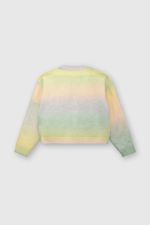 387b2f2c-b139-4a08-bf5d-fafc066d04cb-chla0287v24-2