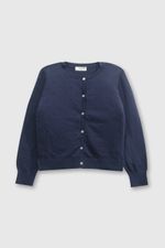 fd167504-f414-4f42-98dd-b62828b5dc08-chla0450v24-1