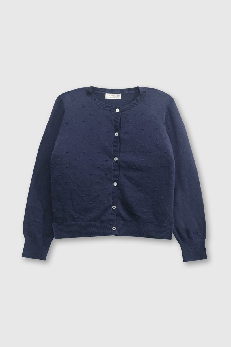 fd167504-f414-4f42-98dd-b62828b5dc08-chla0450v24-1