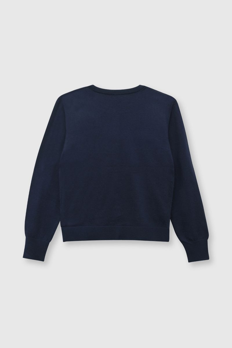 a22450e5-2657-46bf-bae9-256d7a97f29d-chla0450v24-2