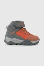 cc27fc0c-8af8-4961-b9ba-2405bb1c9f9a-48050283i24-2