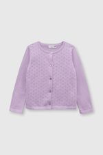 2873af66-2426-43af-8125-fe57662a2f36-chla0687v24-1