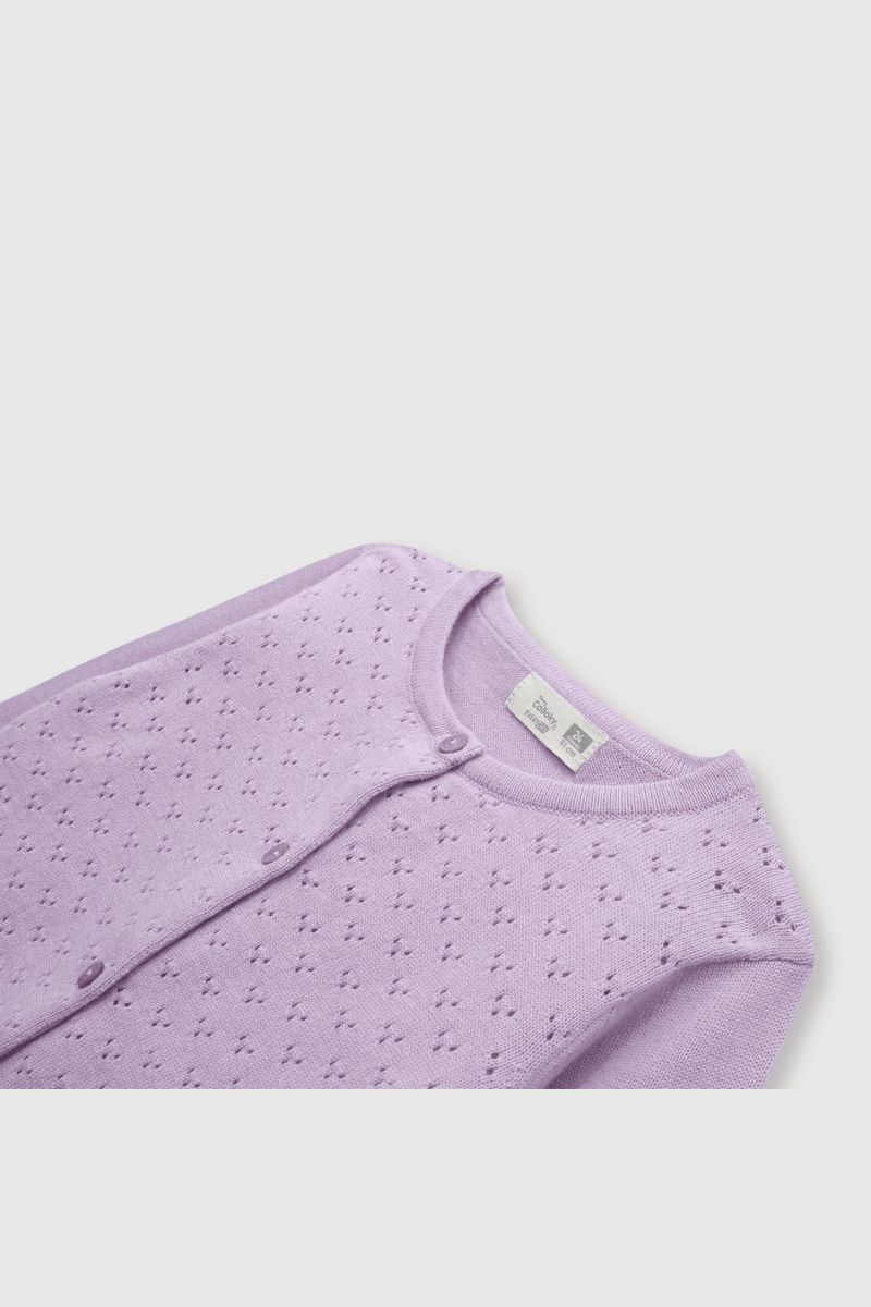 1c955542-ebc1-42f6-b36c-cd228df568f6-chla0687v24-3