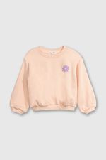 00e705ad-ad91-44bf-bff2-67764c19646f-plpo5243v25-1