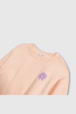 08bcf0ad-17db-4301-8a88-b210d8a463b7-plpo5243v25-3