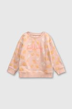 c38103c5-bb98-4d3d-9989-aad0568d2d6d-plpo5283i24-1