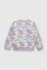 873f803d-4e4e-4728-9872-83707178992d-plpo3287v24-2