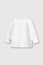 ee7c1830-056c-4695-9947-06e0426e834a-plpqu109v25-2