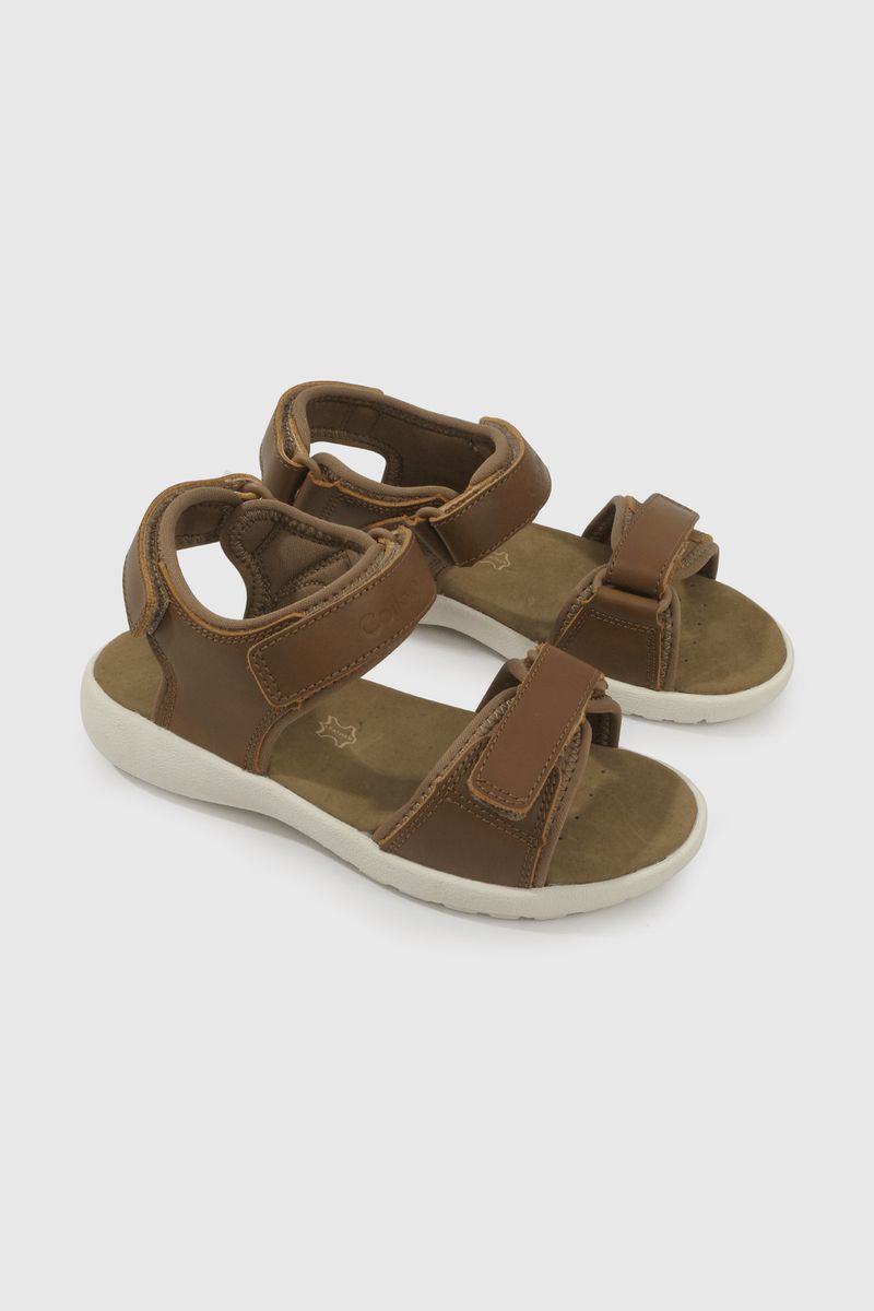 7e37ba86-5fb5-45b1-8e4a-07c56eba3c9d-53990172v25-1