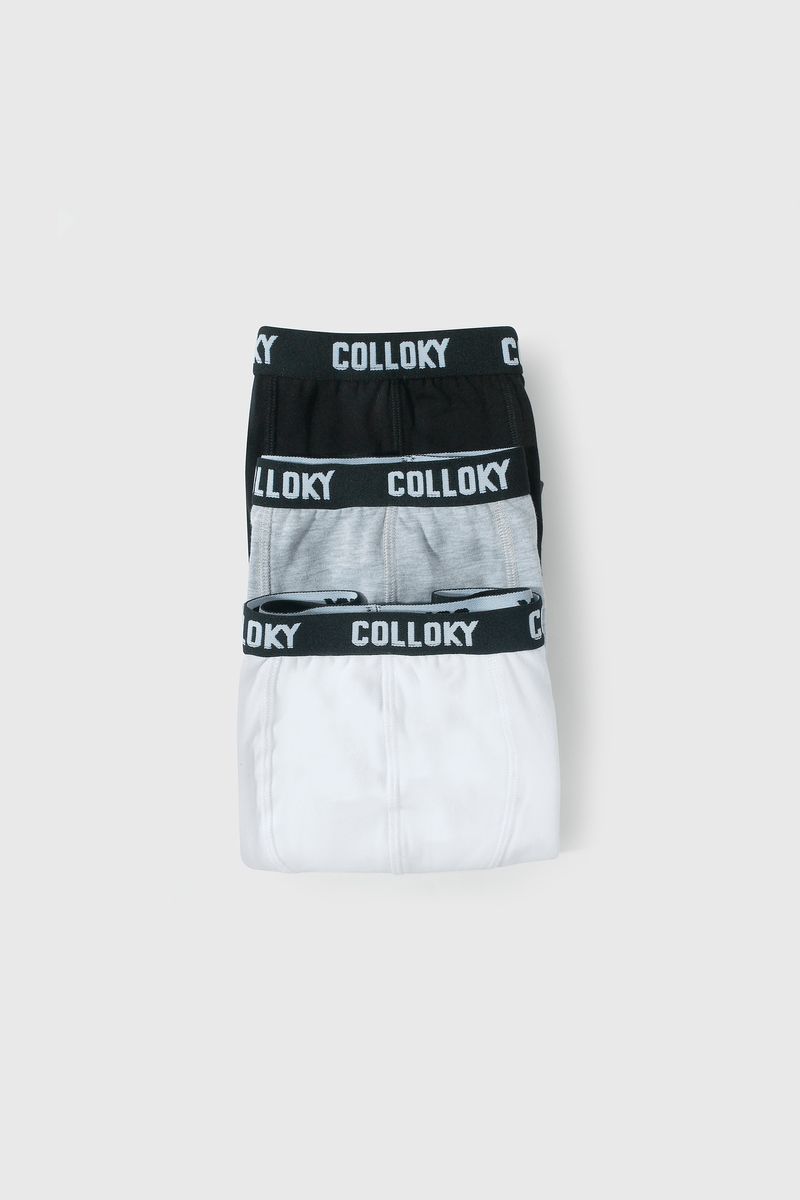 8f6b6ad5-b179-4877-a348-20df24489ae2-bxsx0311i25-1