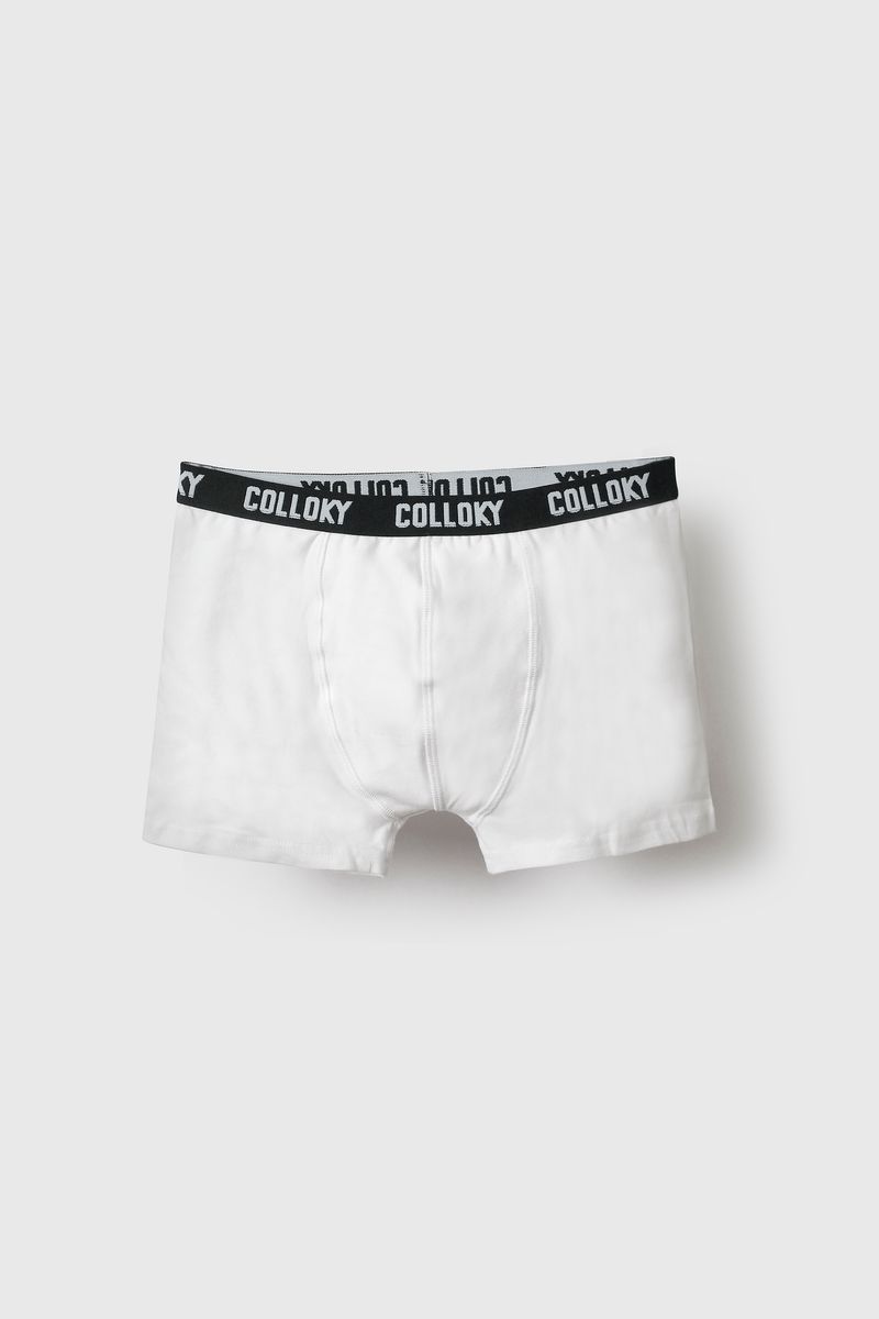 1c602e83-0c26-4ce5-a0a7-58f2f2b0e963-bxsx0311i25-4