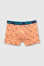 ca1854d4-313f-49ff-a288-8a20a3955f15-bxsx0534v24-2