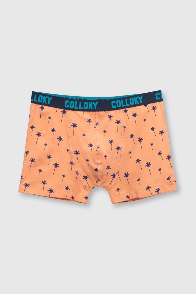 ca1854d4-313f-49ff-a288-8a20a3955f15-bxsx0534v24-2