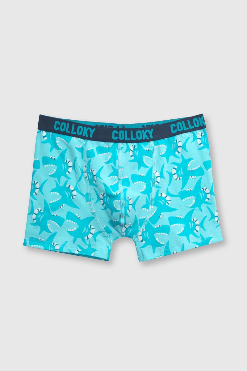 403d62ba-0741-4b46-bdfe-b9c24f3ad470-bxsx0534v24-3