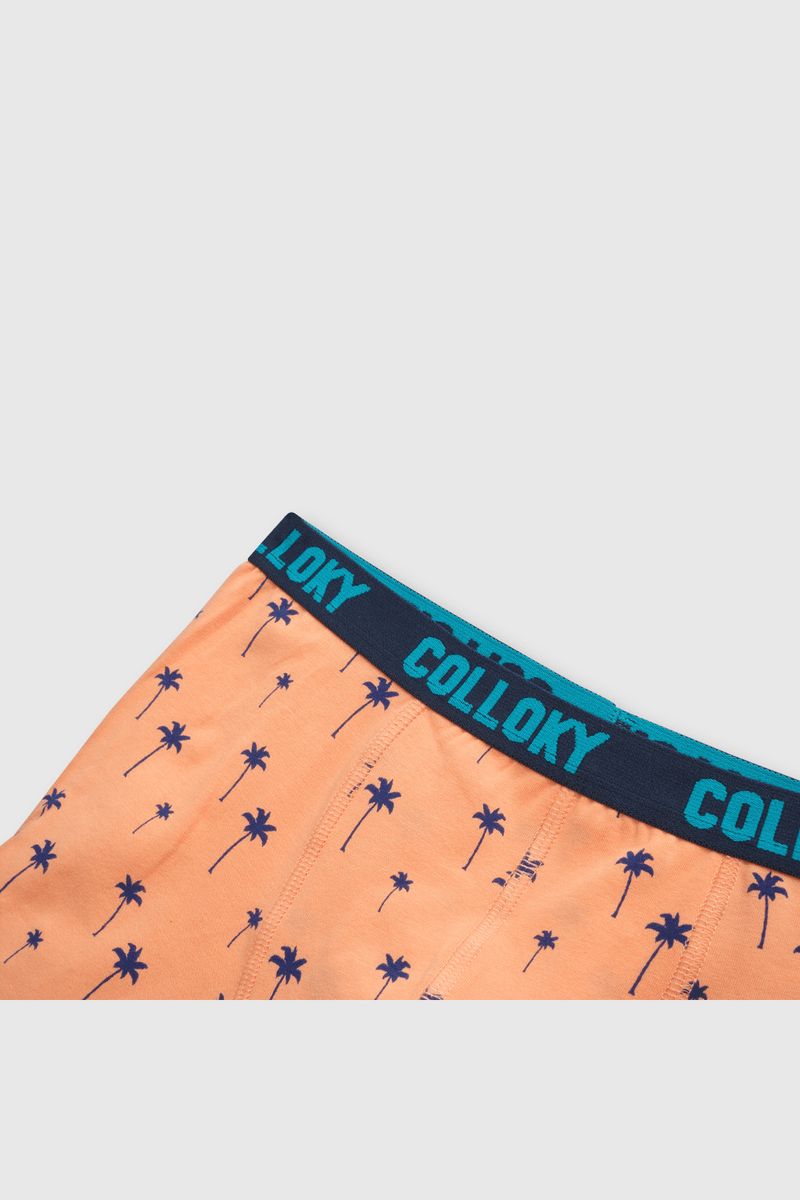 29c51c36-3a90-4e2c-98b0-791fe222323c-bxsx0534v24-5