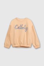 4c799028-251c-434a-bfda-ada76ba7f3b0-plpo1443v25-1