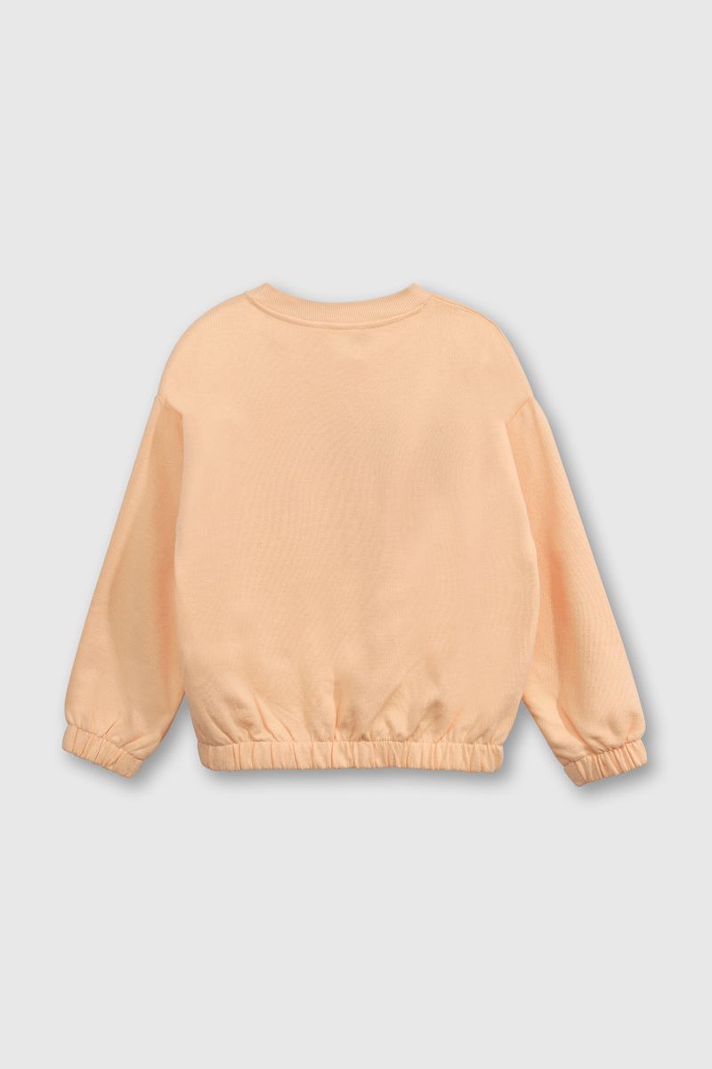 6093ccab-23cc-42f8-b995-58b7c619479e-plpo1443v25-2