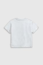 e03cc8e7-90c4-44f4-8b0a-cd777cc9deb5-p1je1310v25-2