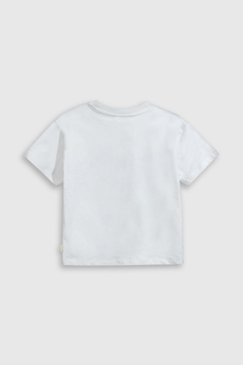 e03cc8e7-90c4-44f4-8b0a-cd777cc9deb5-p1je1310v25-2