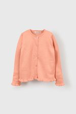 a523a6d5-ce1a-407e-9b24-2f735481b37e-chla1429i25-1