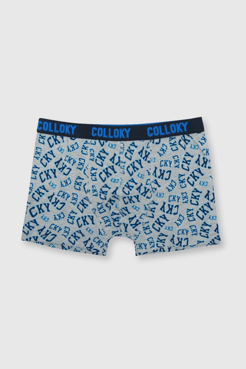 a6e2274c-2ffe-43f7-a515-8648a2d0b6de-bxsx0150v24-4