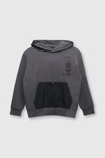 8de0e698-be86-43a3-8131-cd892cc19a7c-plpo3511v24-1