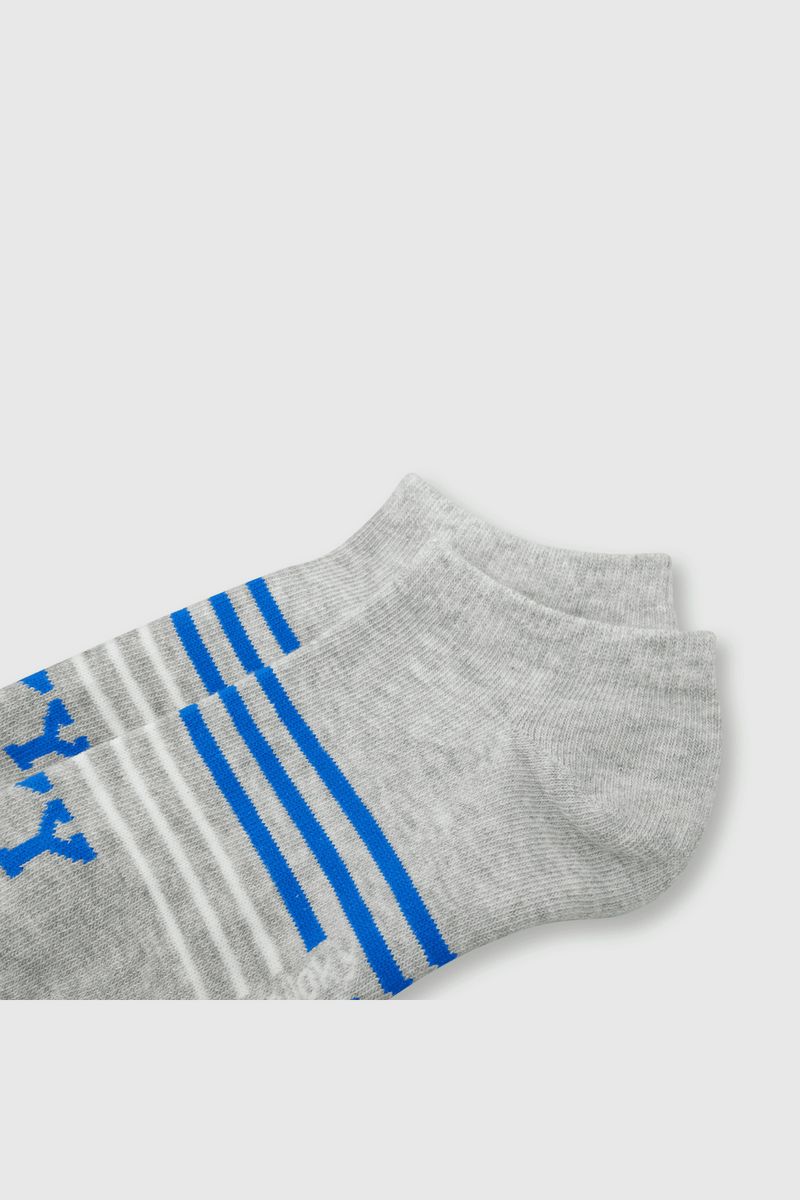 e8451fad-3cfd-42d1-a34d-5970c98e94e3-c1pe0111v24-2