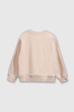 e8e97181-da1c-4d39-909c-d806a9e1a2f1-plpo5066v25-2