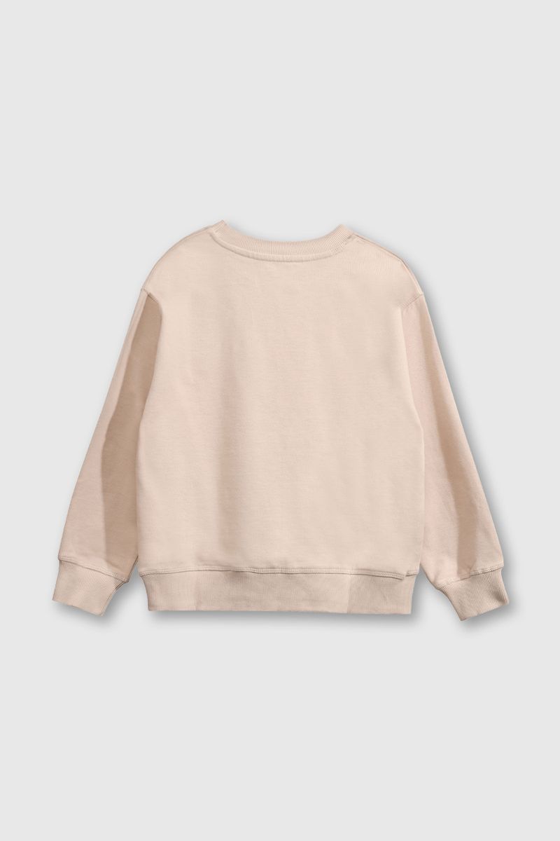 e8e97181-da1c-4d39-909c-d806a9e1a2f1-plpo5066v25-2