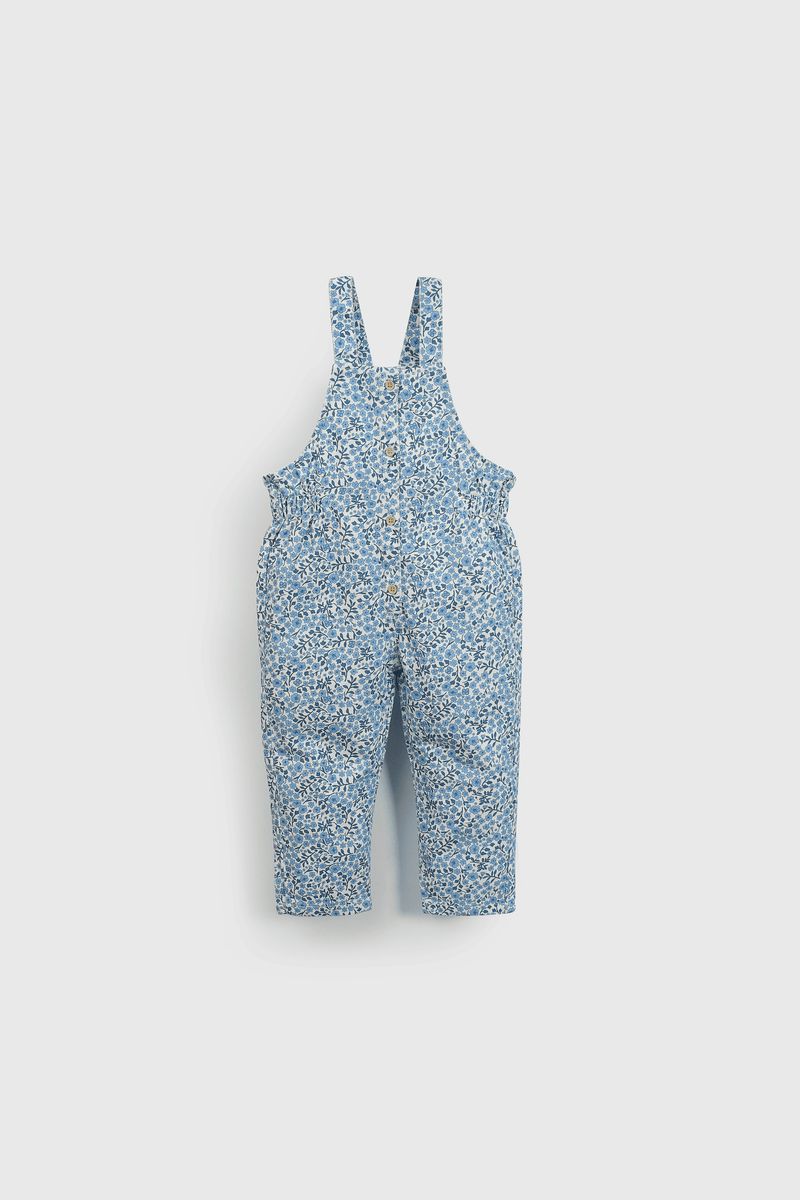 35635be5-159b-49d8-af31-6036b956dad7-jlgb0240i25-1