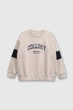 fed4e48f-723c-43cc-959b-31c4f891850a-plpo1776v25-1