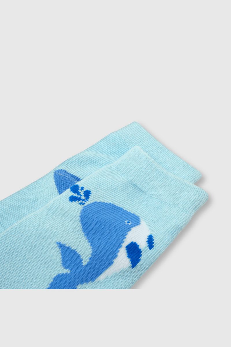 af24211f-f3b8-47ec-9496-8f7a7e23e1e5-c2pe2950v24-2