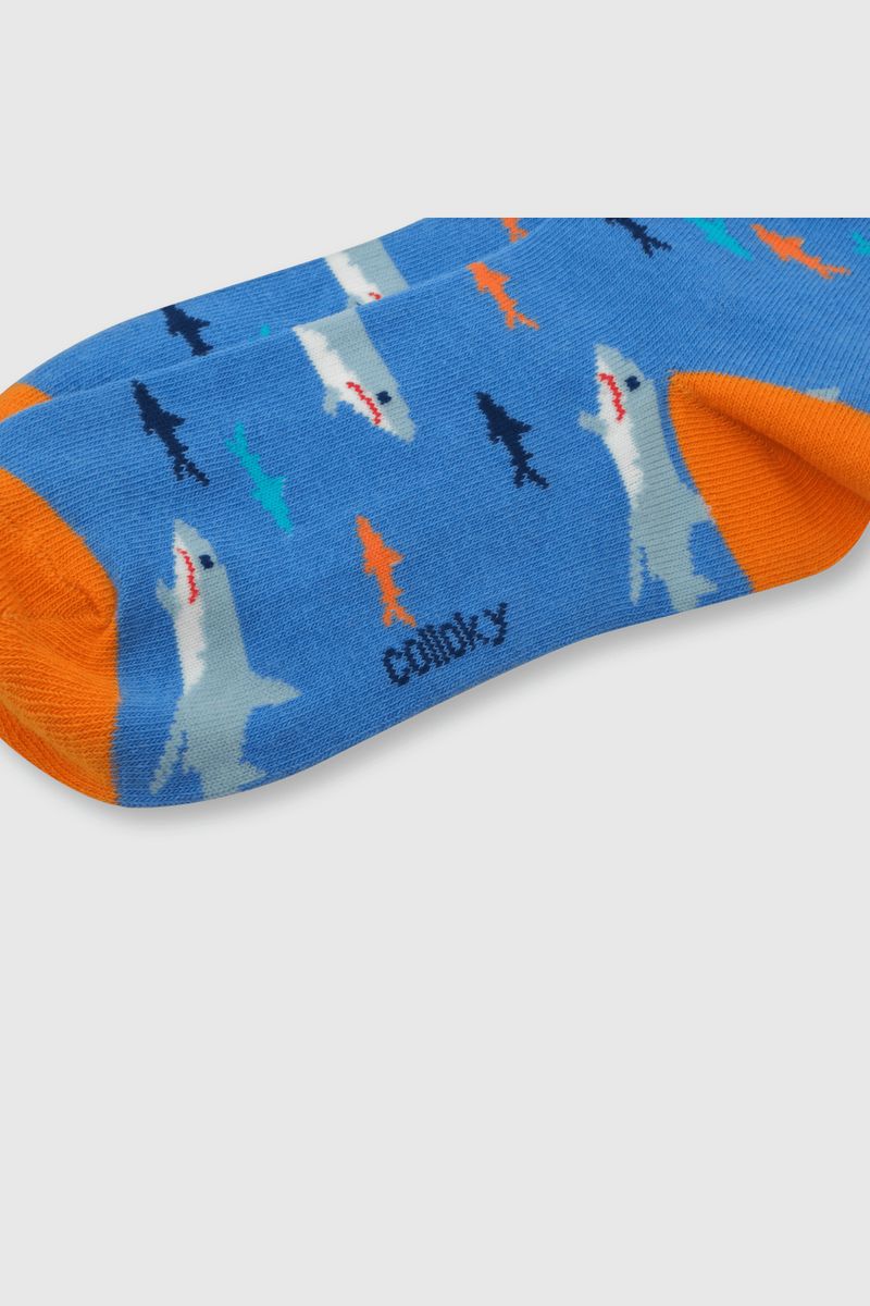 293de3b4-6fba-482a-96db-260c93cc310c-c3pe2540v24-2